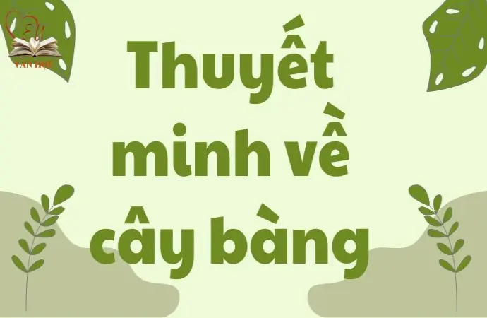 Bài văn mẫu lớp 9: Thuyết minh về cây bàng chi tiết nhất