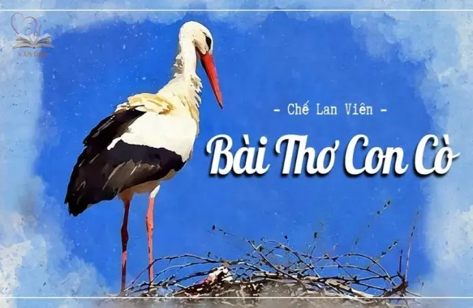 Bài thơ Con Cò - Lời ru và tình mẫu tử qua ánh mắt thơ ca