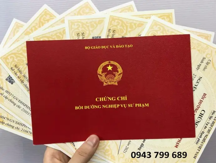 Hướng dẫn làm Chứng Chỉ Nghiệp Vụ Sư Phạm giá rẻ