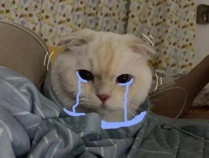 Khám phá những cry meme đáng yêu gây bão mạng xã hội