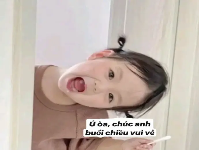 Những chế ảnh meme hài nhất mà bạn không thể bỏ qua