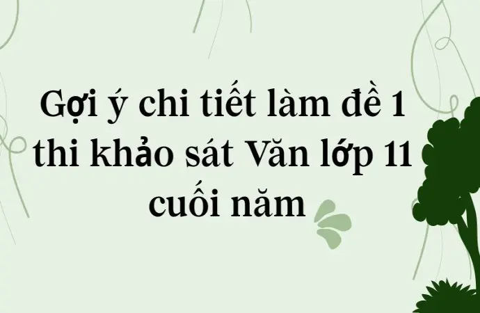 Gợi ý chi tiết làm đề 1 thi khảo sát Văn lớp 11 cuối năm