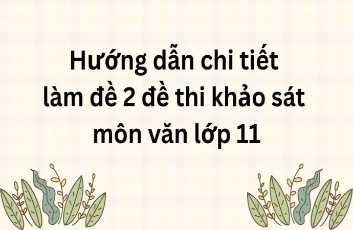 Hướng dẫn chi tiết làm đề 2 đề thi khảo sát môn văn lớp 11