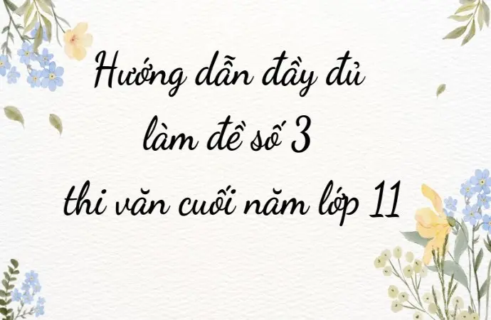 Hướng dẫn đầy đủ làm đề số 3 thi văn cuối năm lớp 11