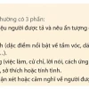 Bài văn mẫu tả người lớp 5 hay và đầy đủ nhất năm 2026