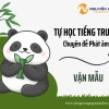 Bảng Ghép Thanh Mẫu và Vận Mẫu Tiếng Trung: Hướng Dẫn Chi Tiết Cho Người Mới Bắt Đầu