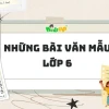 Các bài văn mẫu lớp 6: Hướng dẫn chi tiết và bài học bổ ích