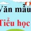 Cách viết mở bài nghị luận xã hội thu hút và hiệu quả