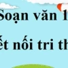 Hiền tài là nguyên khí quốc gia: Bài học lịch sử cho thế hệ trẻ