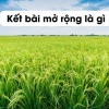 Hướng dẫn chi tiết cách viết kết bài mở rộng và không mở rộng cho bài văn tả cảnh