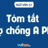 Hướng dẫn chi tiết tóm tắt Vợ chồng A Phủ của nhà văn Tô Hoài