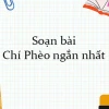 Hướng dẫn soạn bài Chí Phèo lớp 11 Kết nối tri thức chi tiết nhất