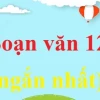 Hướng dẫn soạn bài Người lái đò sông Đà của Nguyễn Tuân chi tiết nhất