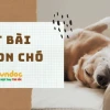 Kết bài mở rộng tả con chó: Hoàn thiện bài văn lớp 4