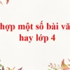 Khám phá 50+ bài văn mẫu lớp 4 hay nhất năm 2026