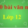 Khám phá kho tàng văn mẫu lớp 12: Chìa khóa chinh phục điểm 10