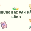 Khám phá những bài văn mẫu hay: Cẩm nang toàn diện cho học sinh