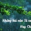 Khám phá vẻ đẹp của cơn mưa: Bài văn mẫu tả cơn mưa lớp 5 và trải nghiệm