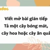 Mở bài gián tiếp tả cây xoài thu hút, độc đáo cho học sinh lớp 4