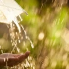 Mở bài Tả cơn mưa lớp 5: Tuyệt tác văn chương về vũ điệu của thiên nhiên