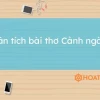 Phân tích bài thơ Cảnh Ngày Hè của Nguyễn Trãi: Vẻ đẹp và ý nghĩa