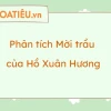 Phân tích bài thơ Mời trầu của Hồ Xuân Hương chi tiết nhất