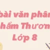 Phân tích bài thơ Thương vợ của Trần Tế Xương: Nét vẽ chân dung người phụ nữ Việt
