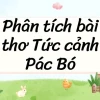Phân Tích Bài Thơ Tức Cảnh Pác Bó: Vẻ Đẹp Ý Chí và Tâm Hồn Hồ Chí Minh