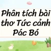 Phân tích chi tiết bài thơ Tức cảnh Pác Bó của Hồ Chí Minh