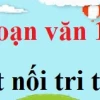 Phân tích chi tiết bài Tuyên ngôn Độc lập lớp 12