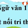 Phân tích chuyên sâu tác phẩm Vợ nhặt của nhà văn Kim Lân