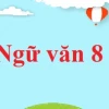 Phân tích giá trị nhân đạo trong tác phẩm lão hạc và cậu vàng