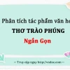 Phân tích sâu sắc bài thơ trào phúng: Khám phá nét đặc sắc và ý nghĩa
