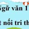Phân tích sâu sắc truyện ngắn vợ nhặt của kim lân năm 2026