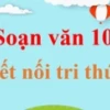 Phân tích tác phẩm Chữ người tử tù lớp 10 chi tiết và sâu sắc