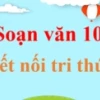 Phân tích tác phẩm Con đường không chọn đầy đủ và sâu sắc nhất