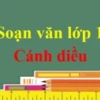 Phân tích tác phẩm trái tim đan kô chi tiết và đầy đủ nhất 2026