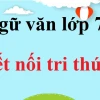 Phân tích tác phẩm trong lòng mẹ của Nguyên Hồng đầy đủ nhất