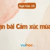 Soạn bài Cảm xúc mùa thu lớp 10 văn bản cánh diều