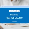 Soạn bài Cảm xúc mùa thu Ngữ văn 10 Cánh Diều đầy đủ và chi tiết