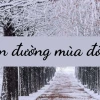 Soạn bài Con đường mùa đông: Phân tích chi tiết và bài học ý nghĩa