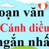 Soạn bài Đàn ghi ta của Lor-ca ngắn nhất - Ngữ văn 12 Cánh diều 2026