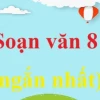 Soạn bài Khi con tu hú lớp 8 đầy đủ và chi tiết