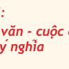 Soạn bài Liên kết các đoạn văn trong văn bản lớp 8: Hướng dẫn chi tiết