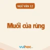 Soạn bài Muối của rừng Văn 12: Khám phá chiều sâu tác phẩm