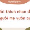 Soạn bài Người mẹ vườn cau lớp 8 chi tiết và đầy đủ nhất