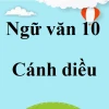 Soạn bài Người ở bến sông Châu Ngữ văn 10 tập 2: Phân tích chi tiết