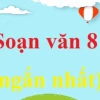 Soạn bài Ôn dịch thuốc lá Ngữ văn 8: Phân tích chi tiết và dàn ý