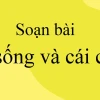 Soạn bài Sự sống và cái chết Văn 10: Phân tích sâu sắc và định hướng tư duy