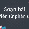 Soạn bài Tản viên từ phán sự lục: Phân tích chi tiết và dàn ý chuẩn